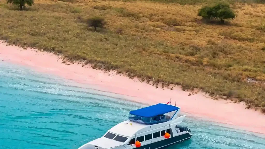 Komodo yacht charter payment terms and deposits guide