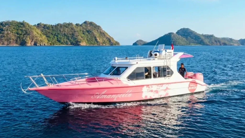 Komodo or Raja Ampat: Which Season to Choose 2027?