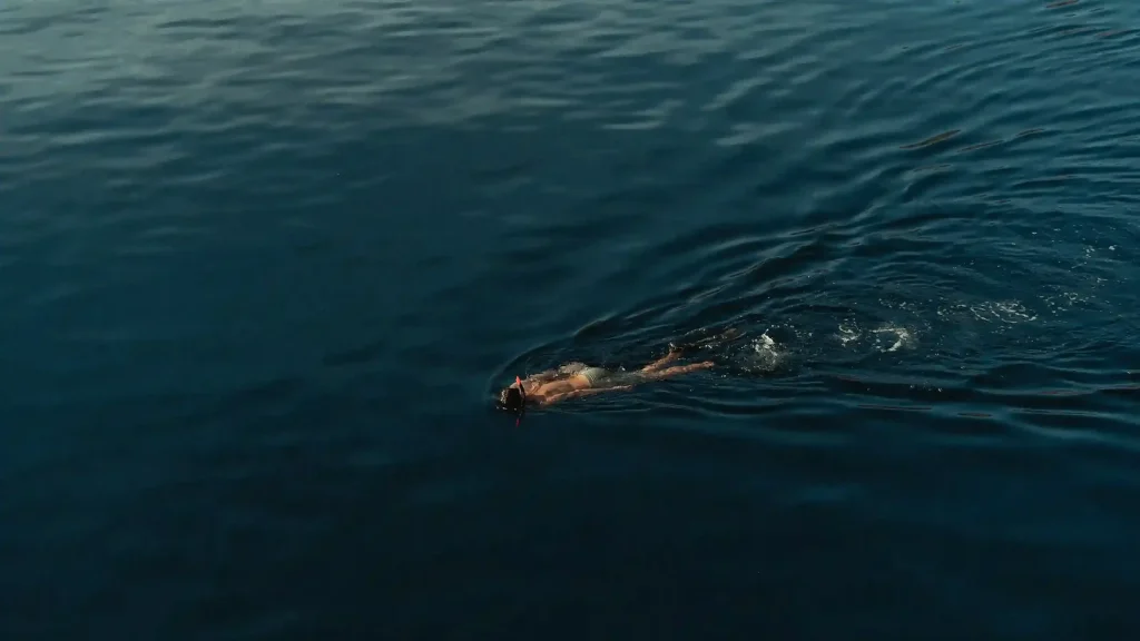 Best Snorkeling Spots in Komodo: Top 10 Sites for 2026