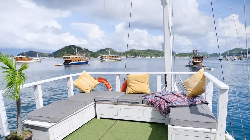 Komodo Dragons: Everything You Need to Know Before Your Yacht Charter