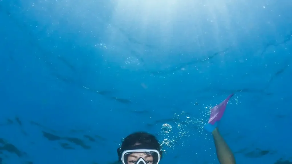 Komodo Island Hopping Tour | Private Island Hopping by Yacht Labuan Bajo