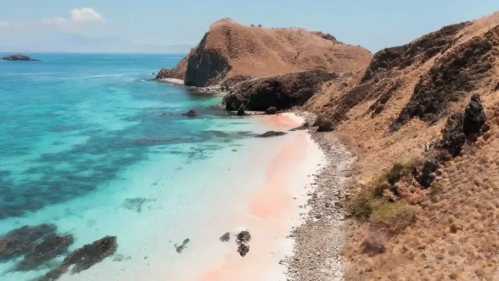 Pink Beach Komodo Tour | Private Boat Trip to Pantai Merah