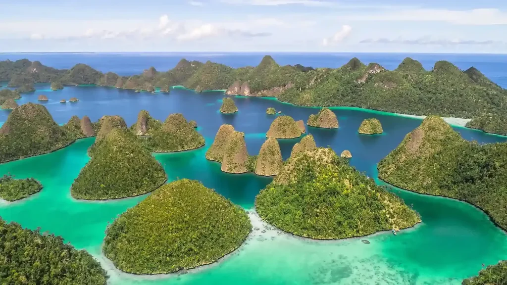 Komodo to Raja Ampat — Luxury Yacht Expedition Indonesia's Best Dive Routes