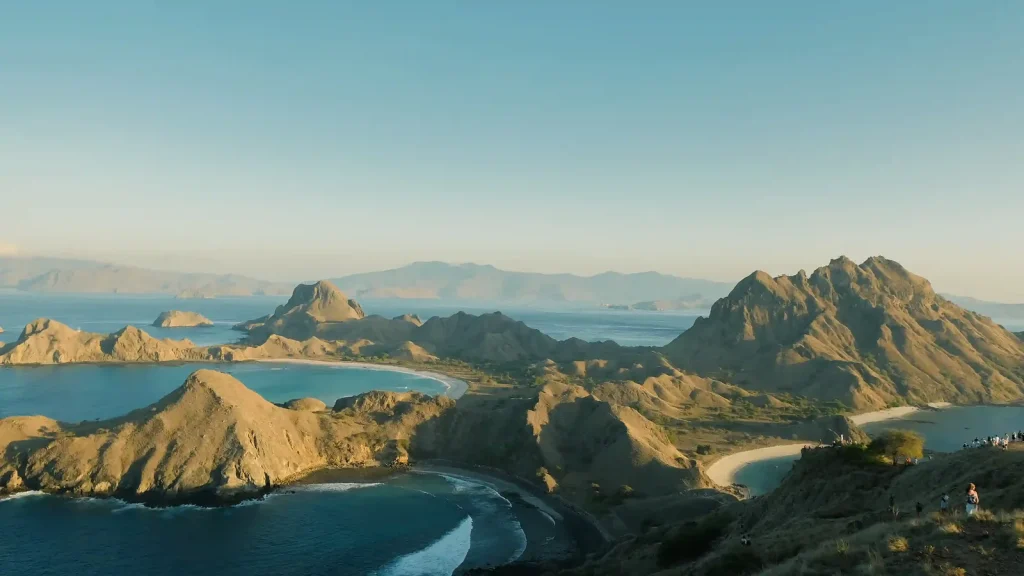 Komodo Wildlife Beyond Dragons: Birds, Deer, Horses & Marine Life